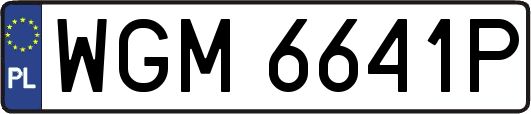 WGM6641P