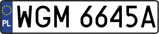 WGM6645A