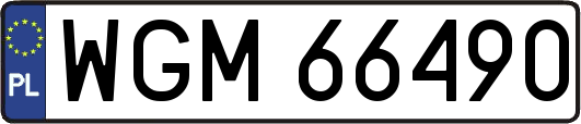 WGM66490