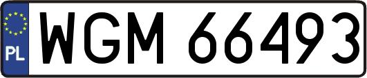 WGM66493