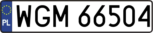 WGM66504