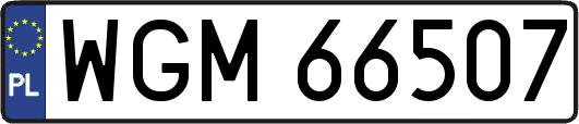 WGM66507