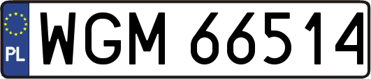 WGM66514