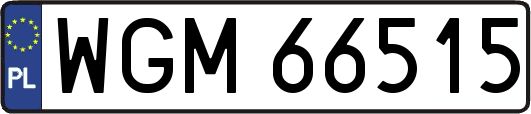 WGM66515