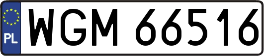 WGM66516