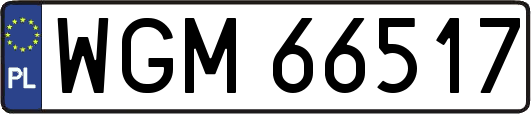 WGM66517