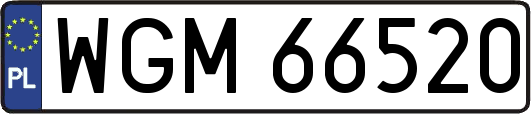 WGM66520