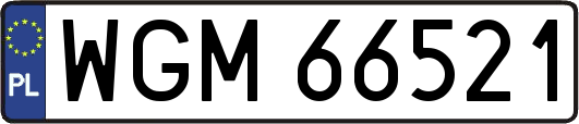 WGM66521