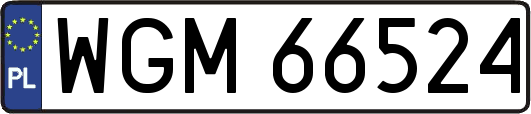 WGM66524