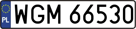 WGM66530