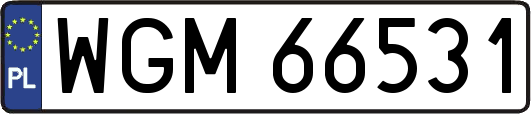 WGM66531