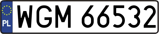WGM66532