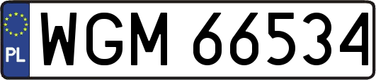 WGM66534