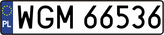 WGM66536