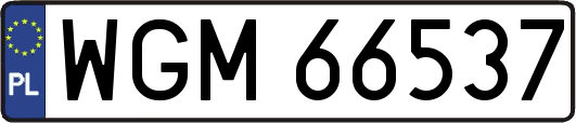 WGM66537