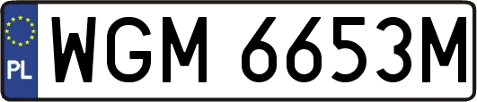 WGM6653M