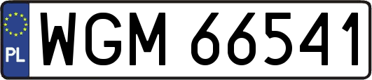 WGM66541