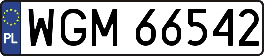 WGM66542