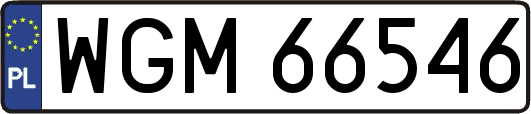 WGM66546