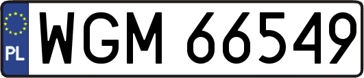 WGM66549