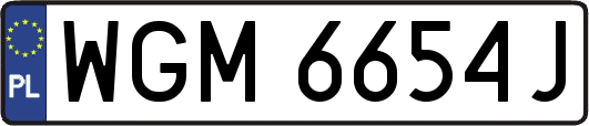 WGM6654J