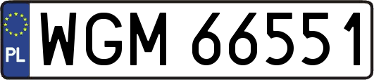 WGM66551