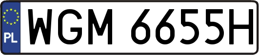 WGM6655H