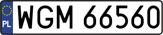 WGM66560