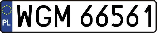 WGM66561