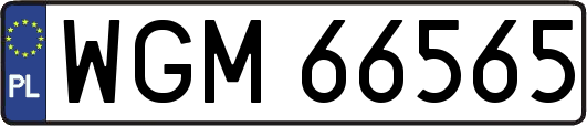 WGM66565