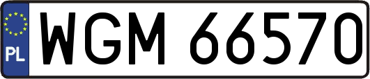 WGM66570