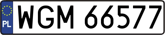 WGM66577