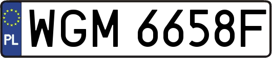 WGM6658F