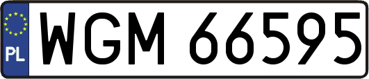 WGM66595