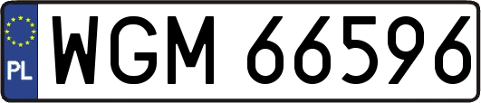 WGM66596