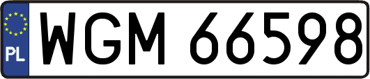 WGM66598