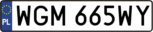 WGM665WY