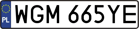 WGM665YE