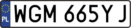 WGM665YJ