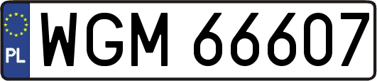 WGM66607