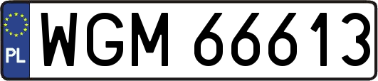 WGM66613
