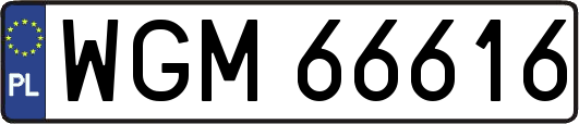 WGM66616