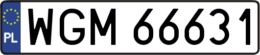 WGM66631