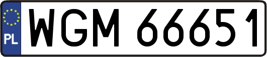 WGM66651