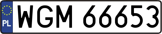 WGM66653