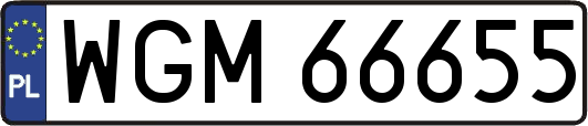 WGM66655
