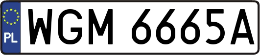 WGM6665A