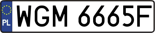 WGM6665F