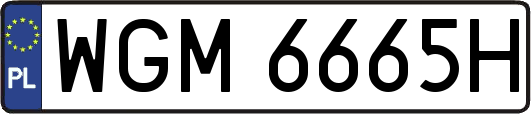 WGM6665H