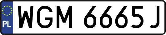 WGM6665J